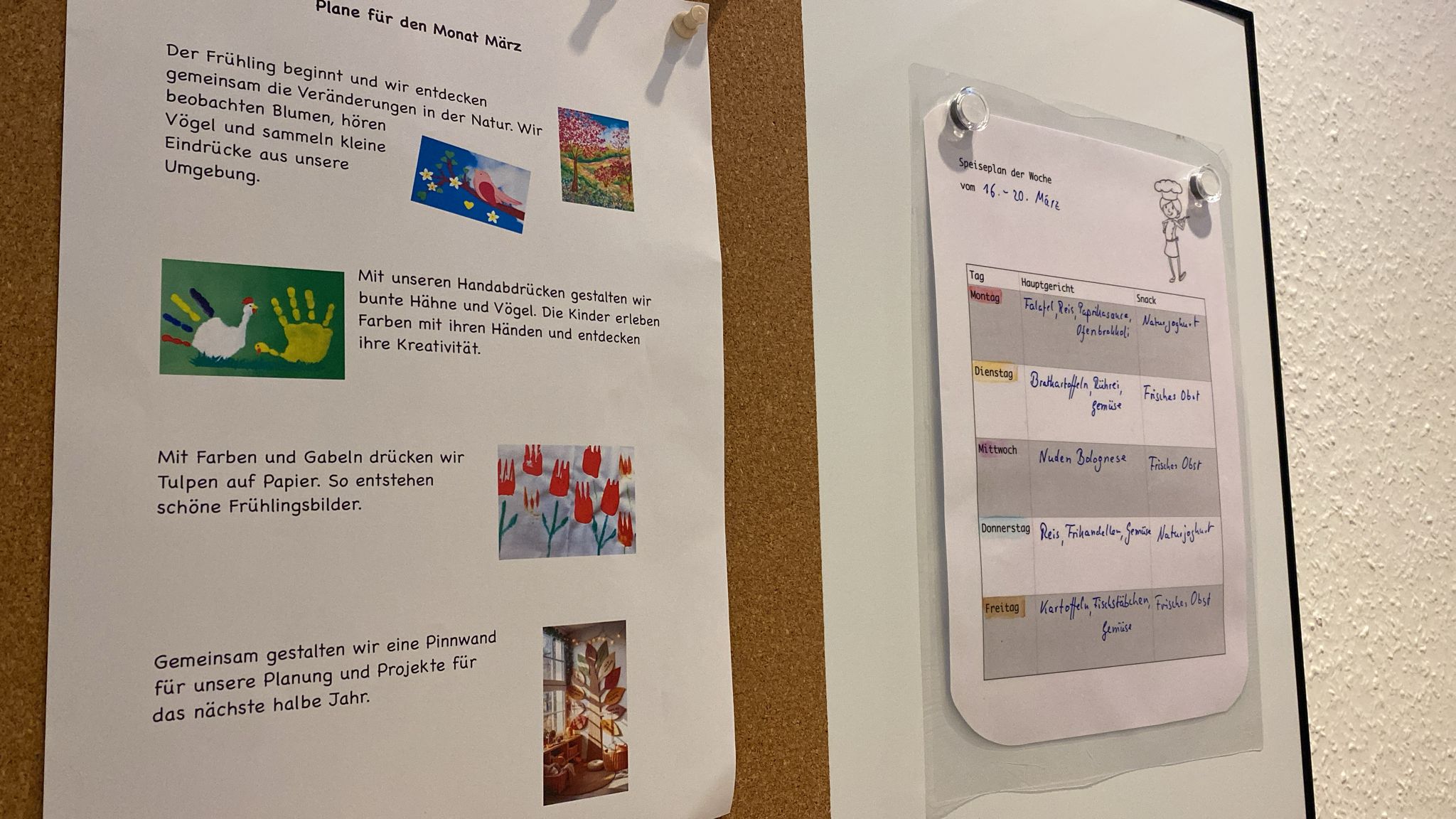 WhatsApp Image 2026-03-18 at 11.42.45 (1)